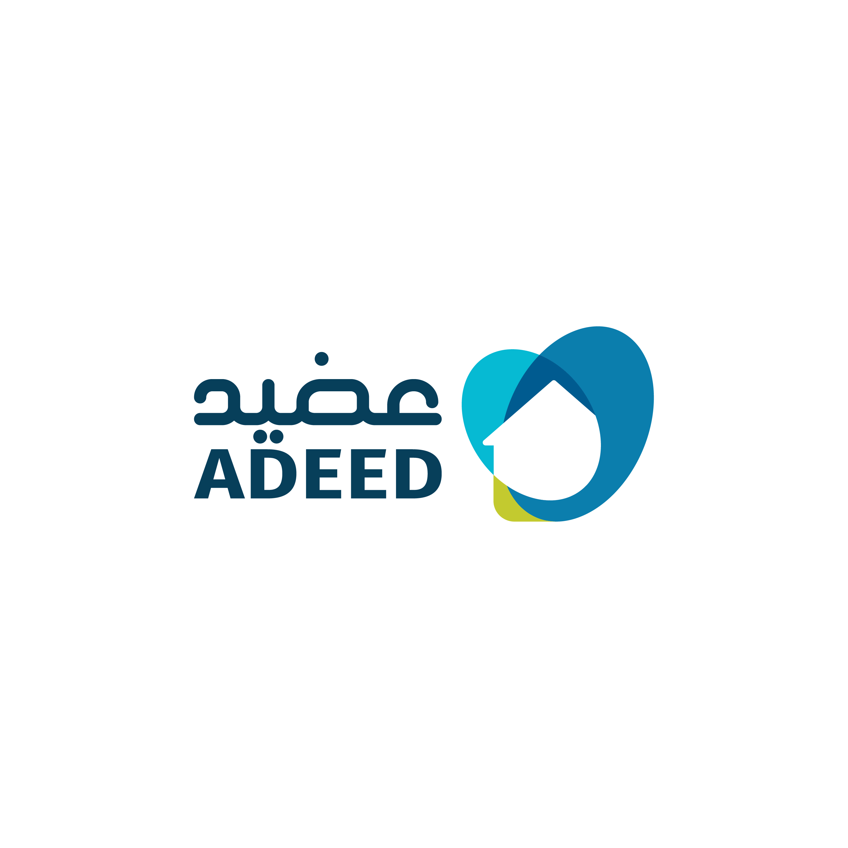 عضيد